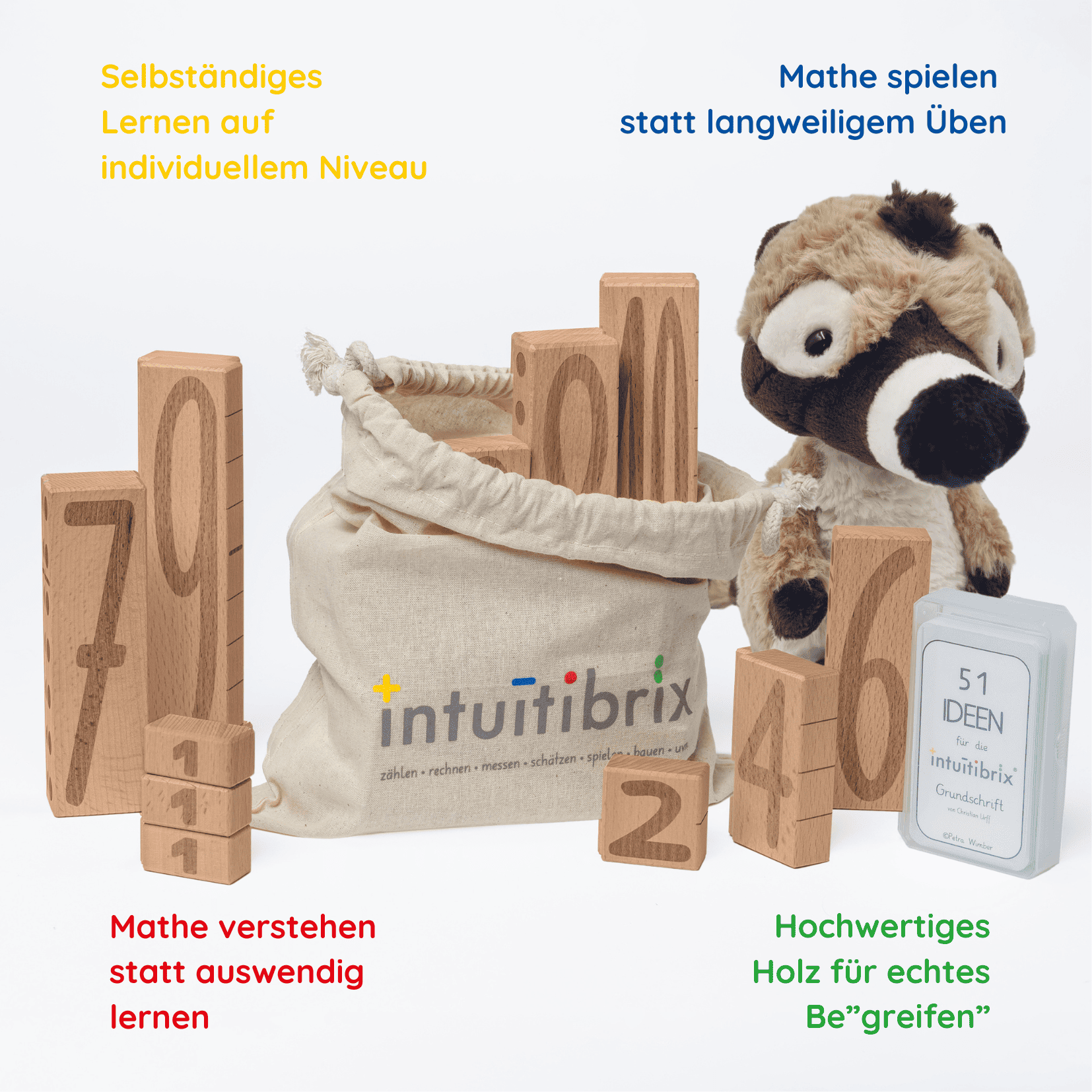 intuitibrix in una borsa di stoffa